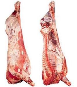 Frozen Beef Carcass